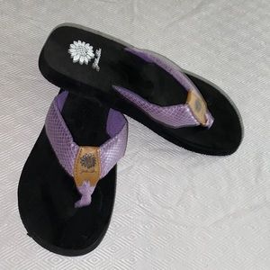 Yellow box purple flip flop